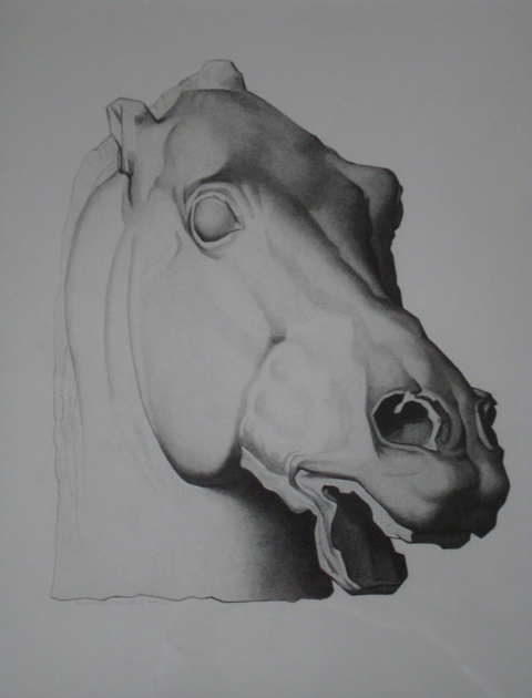 ACADEMY OF ART CANADA Student Bargue Drawing Study of Classical Antique Horse's Head