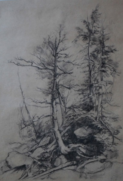 ACADEMY OF ART CANADA Landscape Drawing Study in Charcoal Pencil on Laid Paper