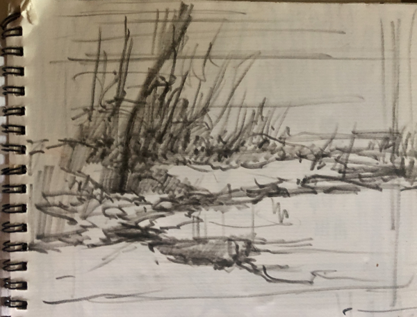 ACADEMY OF ART CANADA Elemental Plein Air Landscape Drawing Study of a Tree