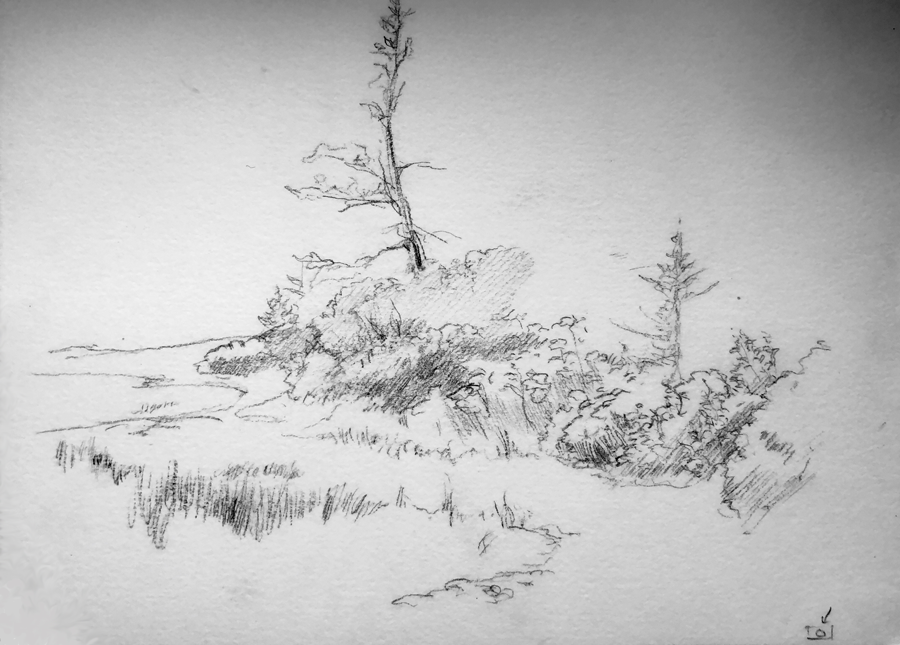 ACADEMY OF ART CANADA Plein Air Landscape Drawing Study