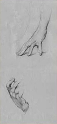 ACADEMY OF ART CANADA Student Morphology Study: Hands from the Life Model