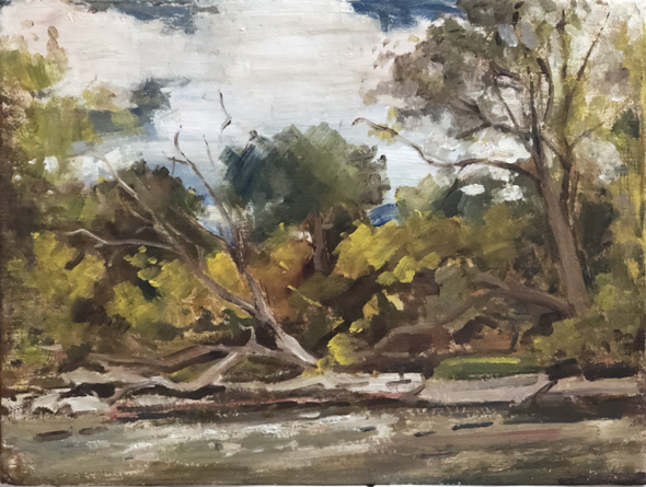 ACADEMY OF ART CANADA Plein Air Landscape Painting